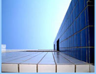 Life Settlement Company